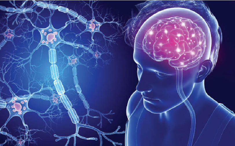 Living with Multiple Sclerosis: Cutting-Edge Rehabilitation Techniques